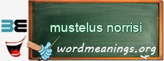 WordMeaning blackboard for mustelus norrisi